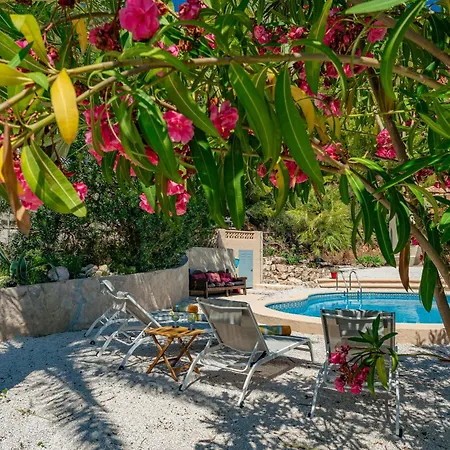 Casa Coromandel Vakantiehuis *