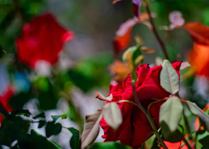 Casa vacanze Casa Coromandel